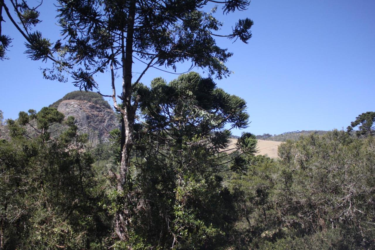Chalet Chale Riacho Goncalves